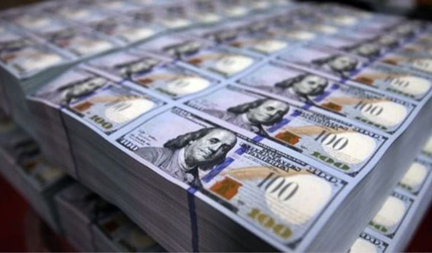 Merkez Bankası rezervleri 171,6 milyar dolar oldu