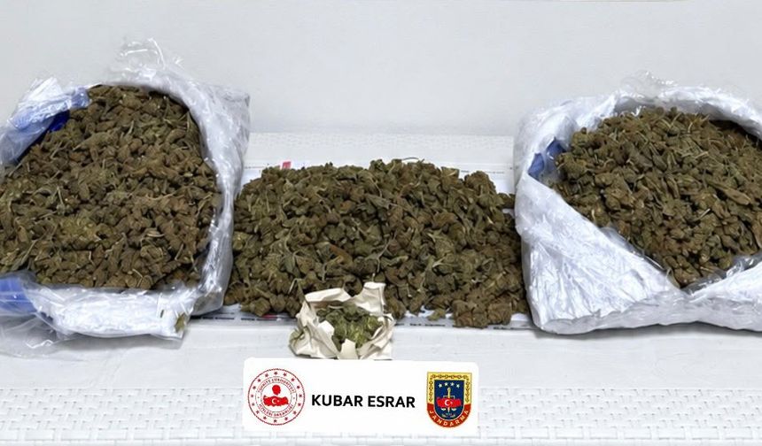 Mersin’de uyuşturucu operasyonları; 2 tutuklama