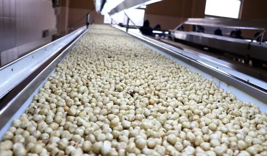 Ticaret borsalarında ağustosta 39 bin tonu aşkın fındık işlem gördü