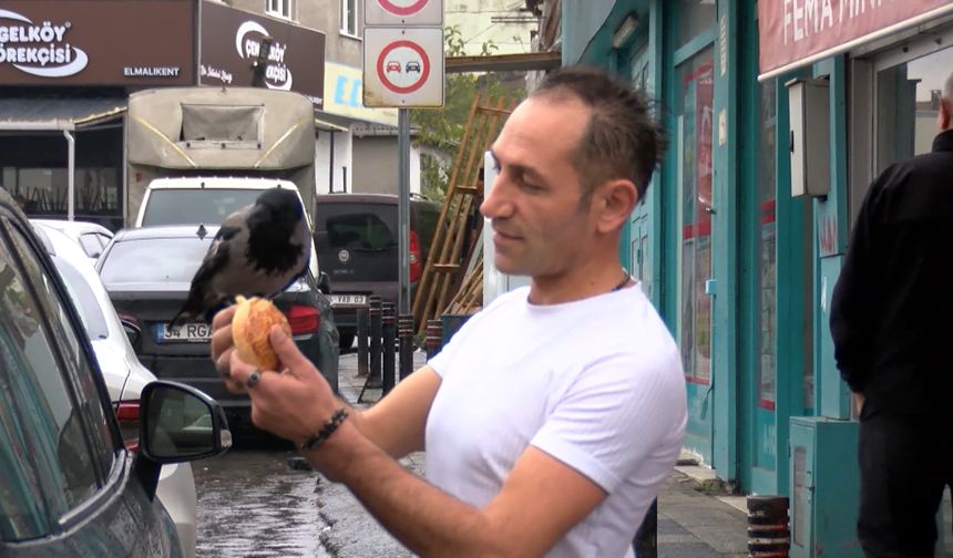 Ümraniye’de kargayı iyileştirip marketinde besledi: Merhametle büyüttüm